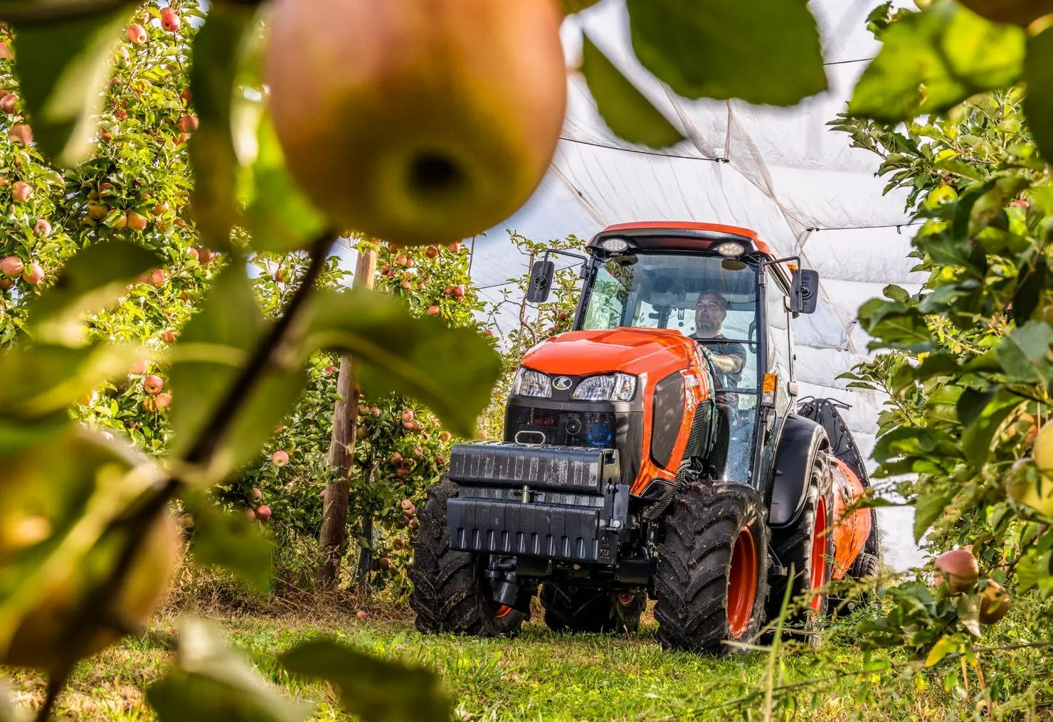 Kubota M5002 Narrow kabina u voćnjaku