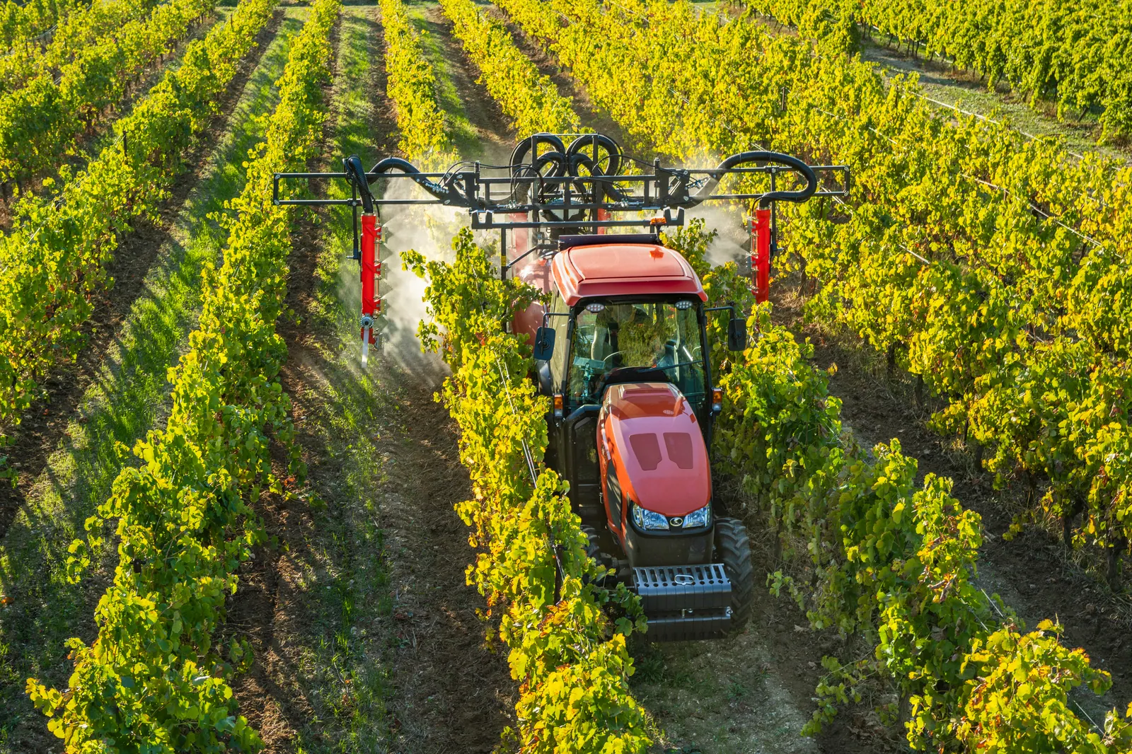 Uski traktor Kubota M5002 Narrow s kabinom i prskalicom između redova vinograda